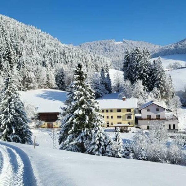 Winter Wunder Land am Biohof Teufel