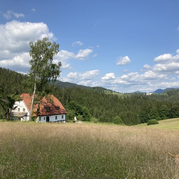 Das Bed and Breakfast, ein weißes Haus mit rotem Dach, liegt inmitten von Feldern und Wäldern mit Bergblick.