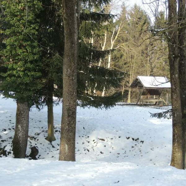 Ferienwohnung Heimberger - Rotwildgehege Winter