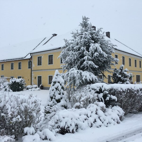 Haus im Winter
