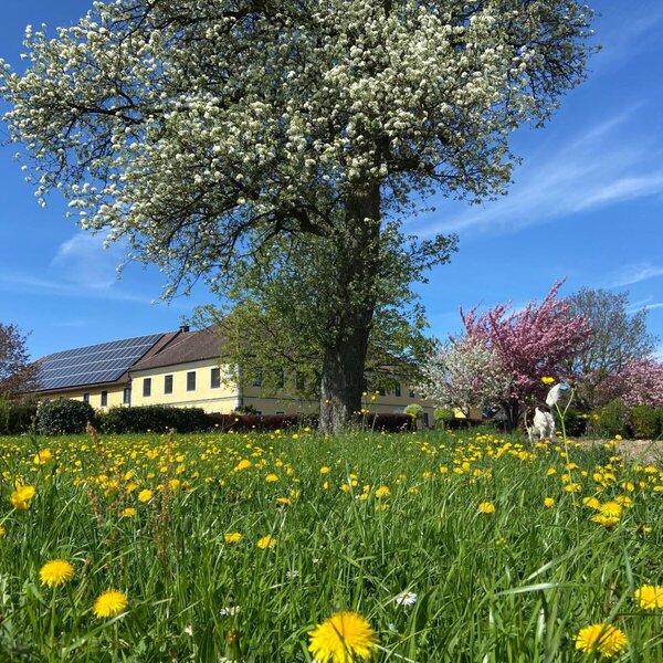 Hausansicht Frühling