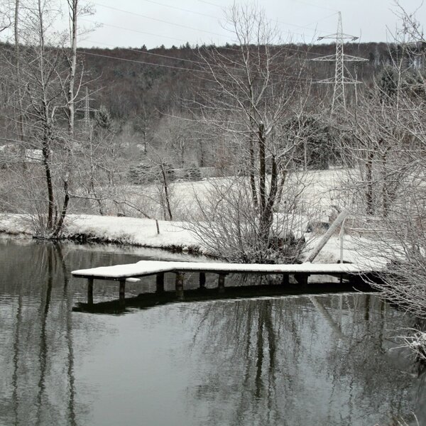Teich im Winter (Foto: Familie Breitner)