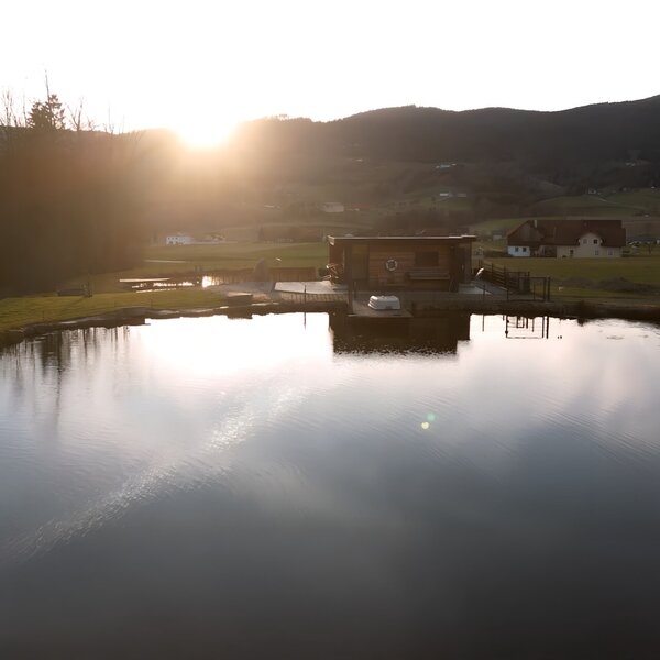 Teich von oben