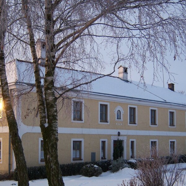 tief verschneit im Winter