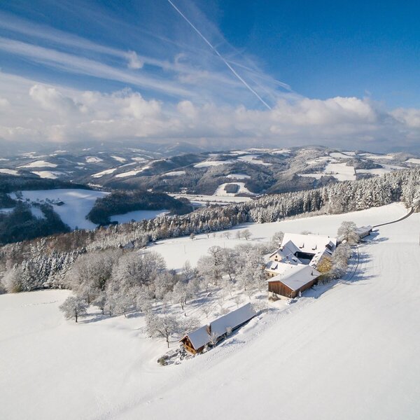 Der Bauernhof inmitten der verschneiten Hügellandschaft der Buckligen Welt.
