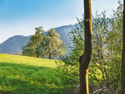 Ausblick Ausblick