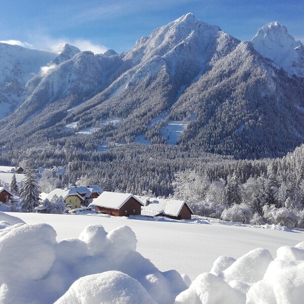 The winter mountain landscape around the farm house, showing snow-covered forests and traditional local houses.