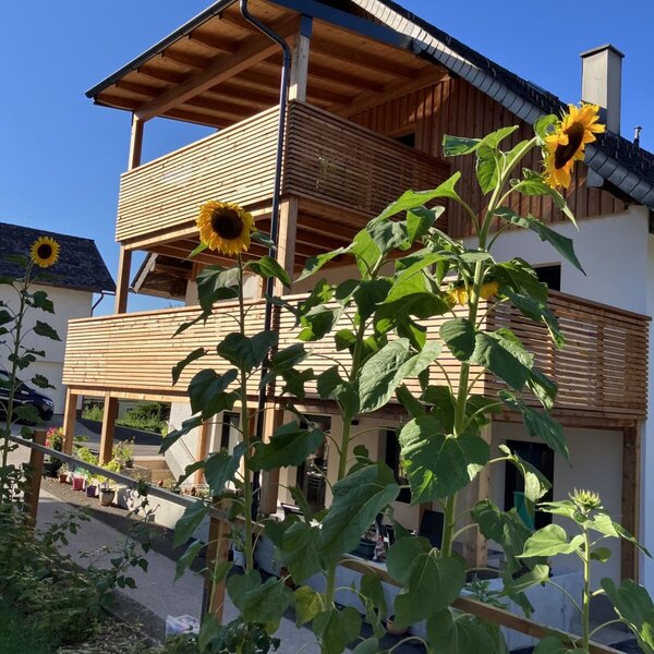 modern Farmhouse
