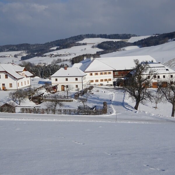 Der Schafflhof vom Schnee eingedeckt