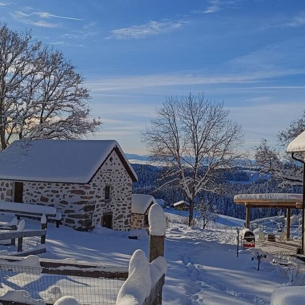 Der Bauernhof mit Holzfassade und einem Steingebäude in verschneiter Winterlandschaft.