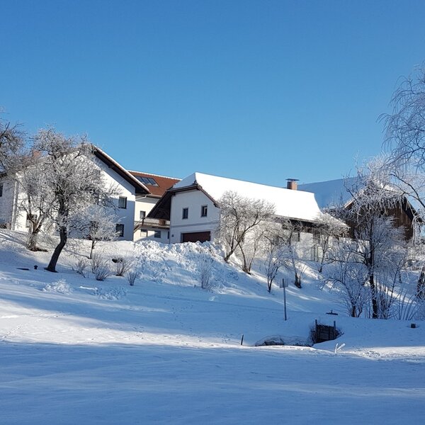 The Farm House in winter, featuring snow-covered roofs and frost-dusted trees under a clear blue sky.