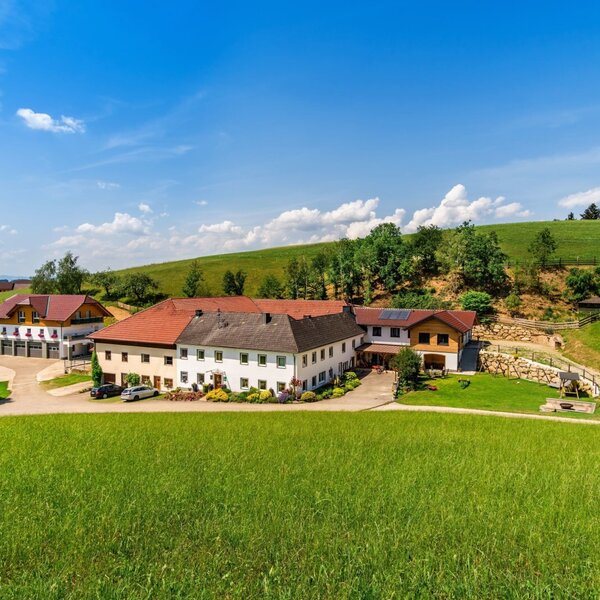 Löschgruberhof in Rechberg, Mühlviertel | © Urlaub am Bauernhof Oberösterreich / Löschgruberhof