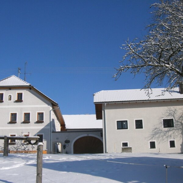 Der Bauernhof im Winter, mit schneebedeckten Dächern und verschneitem Gelände unter blauem Himmel.