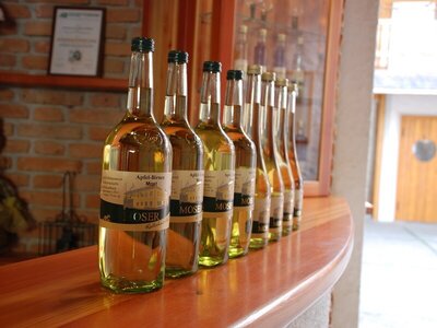 Most | © Radlerbauernhof Moser, Mitterkirchen