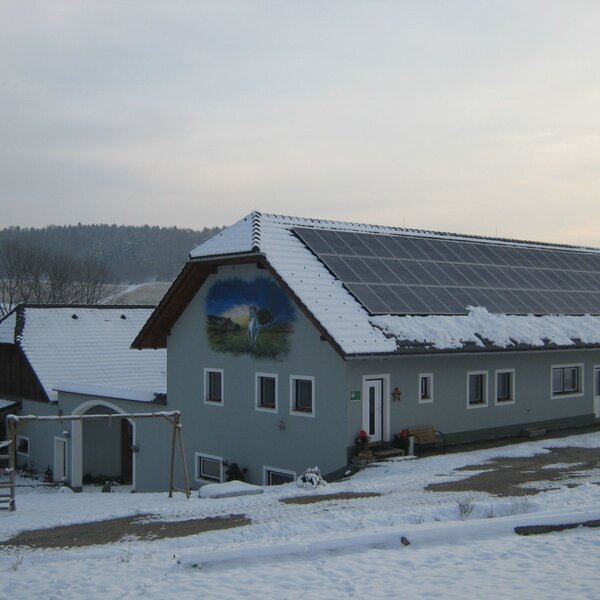 Winter at the riding stable