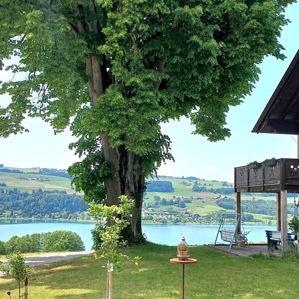 Der Bauernhof mit seinen Holzbalkonen und der Terrasse, umgeben von Grünflächen und einem großen Baum, bietet Seeblick auf die gegenüberliegenden bewaldeten Hügel.
