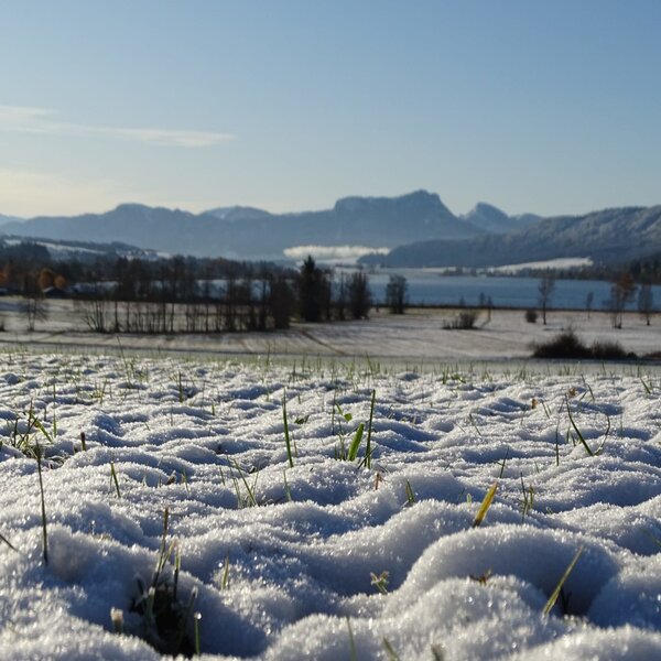 Winterlicher Ausblick vom Bauernhof über ein verschneites Feld zum Irrsee und den umliegenden Bergen.