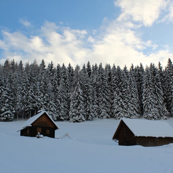 A winter landscape surrounds the Alpine Hut, featuring snow-covered pine trees and two traditional wooden huts in a field of snow.