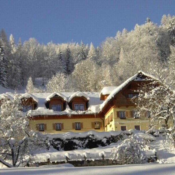 Der Bauernhof mit gelber Fassade, schneebedecktem Dach, Gaubenfenstern und Balkon, eingebettet in eine winterliche Landschaft mit verschneiten Bäumen.