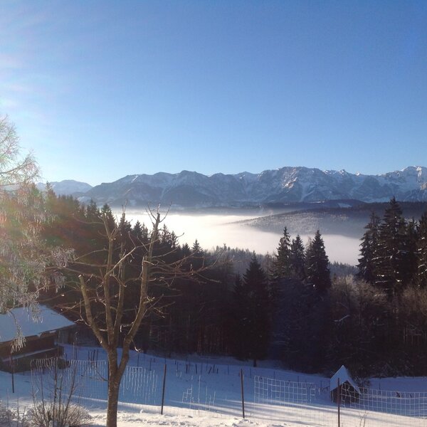 Blick auf die Alpen im Winter