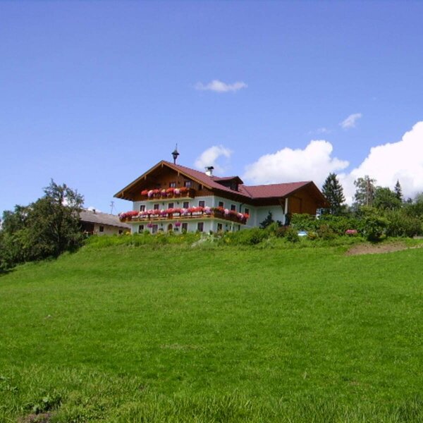 Der Bauernhof befindet sich auf einem grünen Hügel, umgeben von Natur, mit Balkonen, die mit Blumen geschmückt sind.