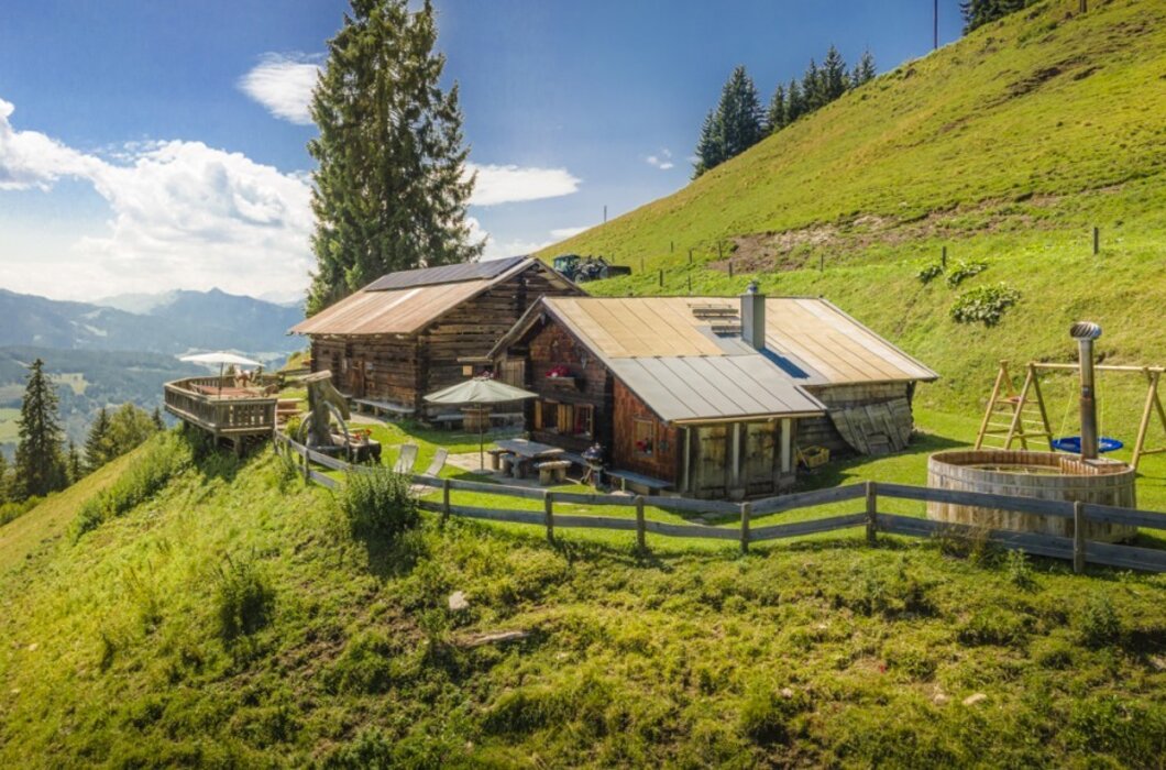 Distelkopfalm in St.Veit
