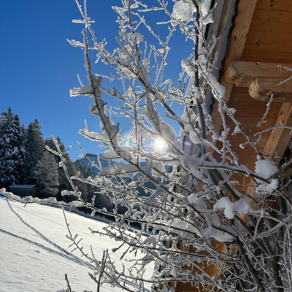 Sunny winter day with snow-covered branches and a part of the holiday home.