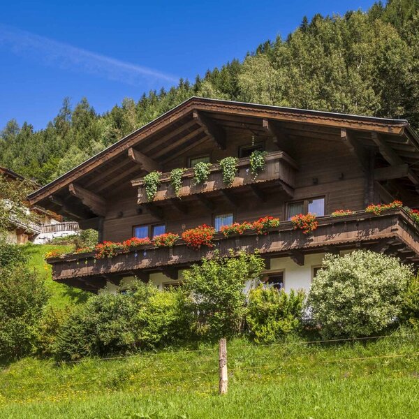 Der Biobauernhof in Holzbauweise mit blumengeschmückten Balkonen liegt an einem grünen Hang vor dem Wald.