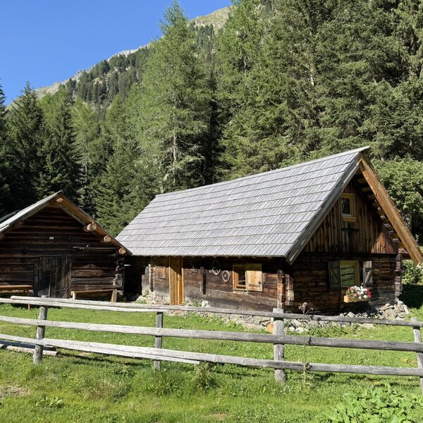 Die Moa Hütte vor einer waldreichen Bergkulisse.