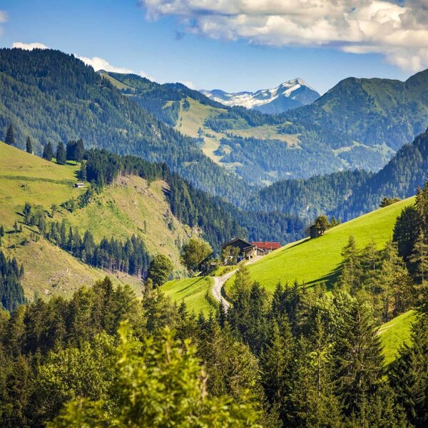 Der Bauernhof befindet sich inmitten einer Berglandschaft mit Wäldern, grünen Wiesen und schneebedeckten Gipfeln im Hintergrund.