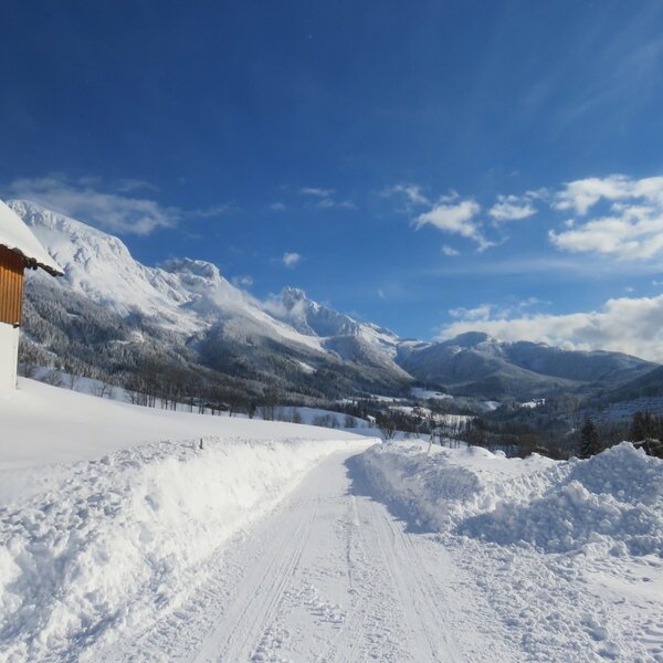Der Biobauernhof in winterlicher Umgebung mit einem schneebedeckten Weg und Blick auf die umliegende Bergwelt.