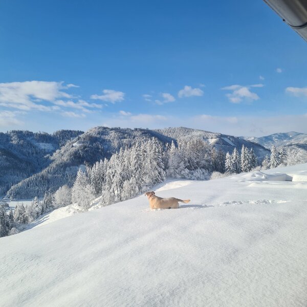 Aussicht in Richtung Pölstal von der Terrasse