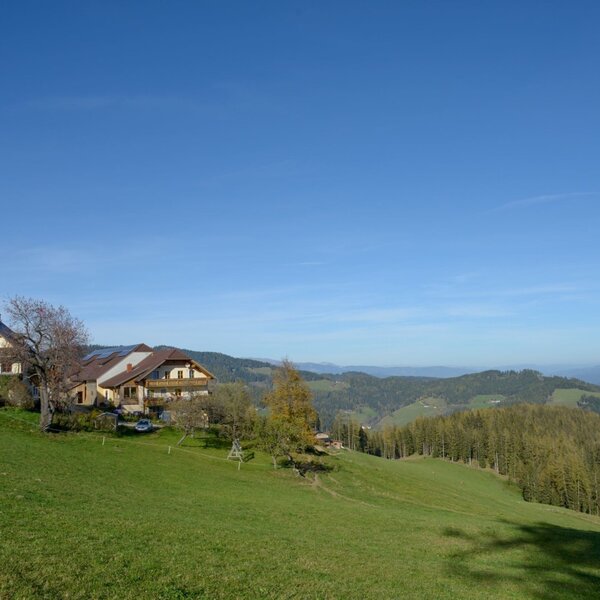 Der Bauernhof liegt auf einer grünen Anhöhe mit Blick auf die umliegende Hügellandschaft und Wälder.