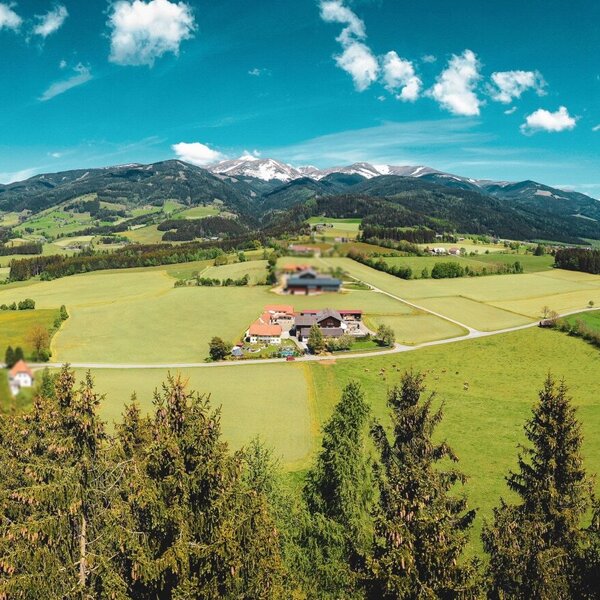 Hacknerhof mit Umgebung