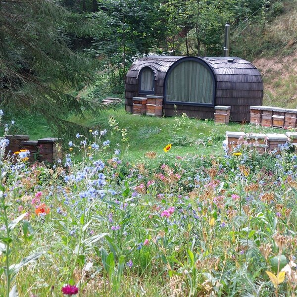 Fasshaus-Unterkunft des Igluhaus, umgeben von einer bunten Blumenwiese und Bienenstöcken.