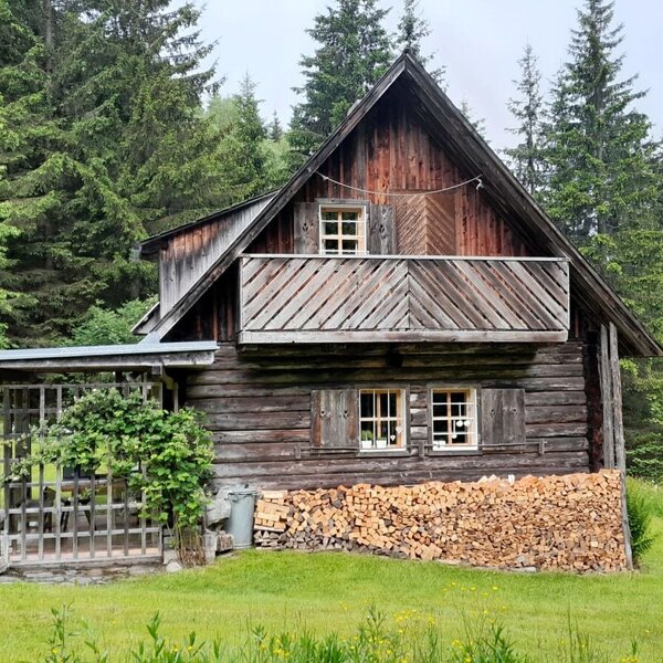 Außenansicht der Hütte mit überdachtem Sitzbereich, umgeben von Wald.