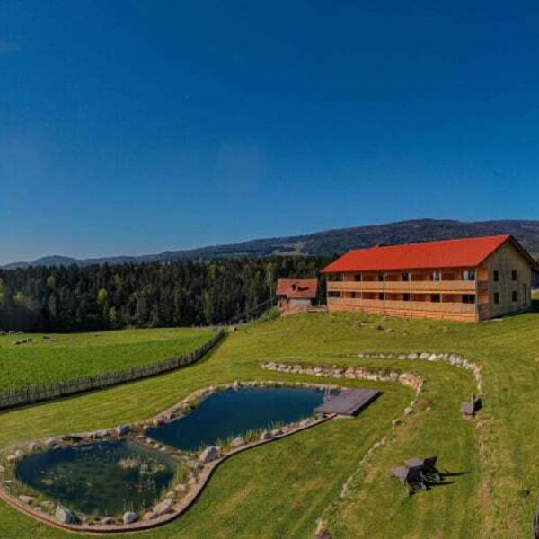 Blick auf den Pircherhof mit dem Teich im Vordergrund