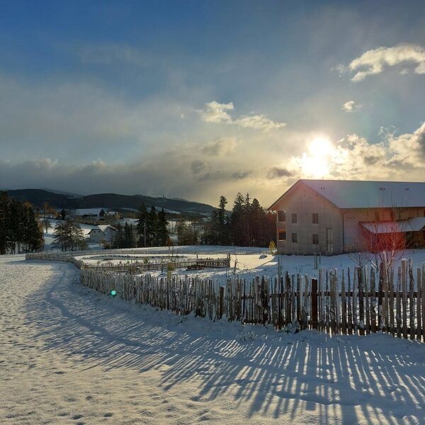 Außenansicht des Bauernhofs im Winter, mit schneebedecktem Feld, Holzzaun und Hügellandschaft im Hintergrund.