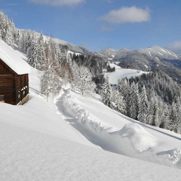 Winter on the Planken