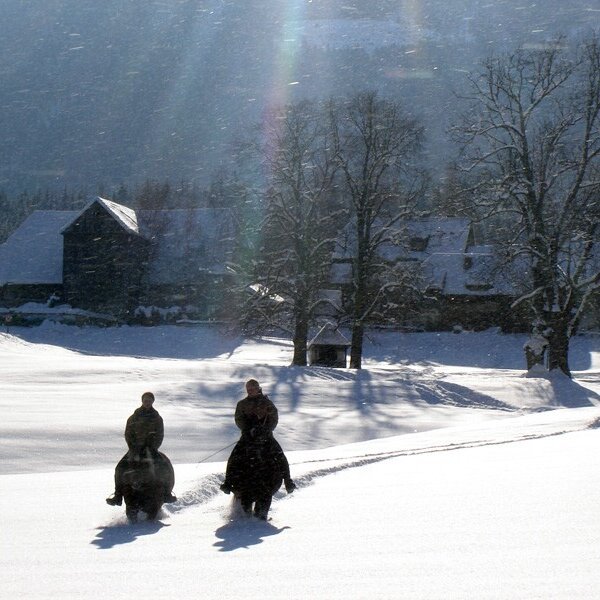 Winterliche Ausritte auf Pferden durch die verschneite Umgebung des Bauernhofs.