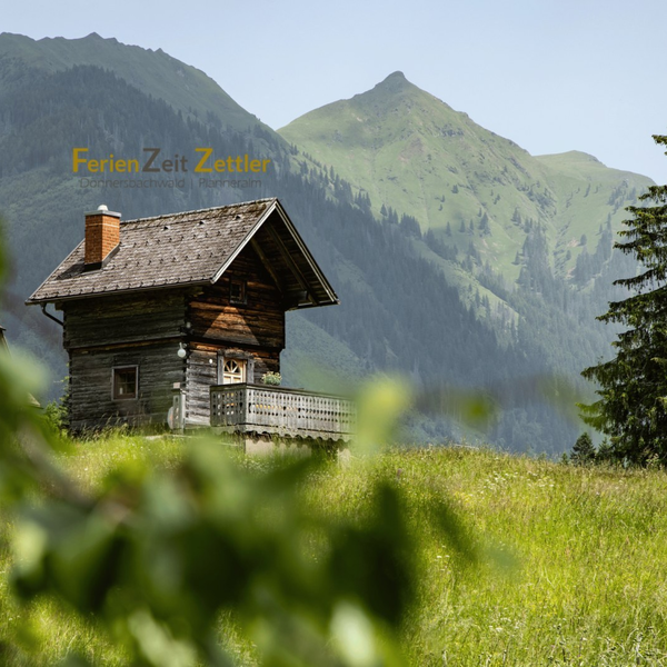 Troadkasten mit Balkon, umgeben von einer Wiese, mit Bergen und einem Nadelbaum im Hintergrund.