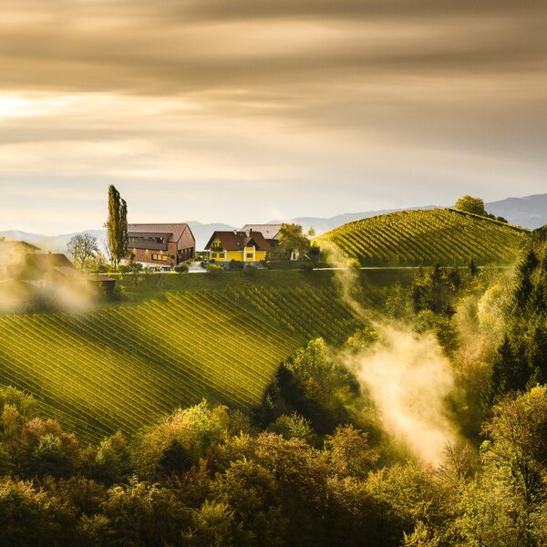 Weingut & Wohlfühlzimmer Adam-Lieleg