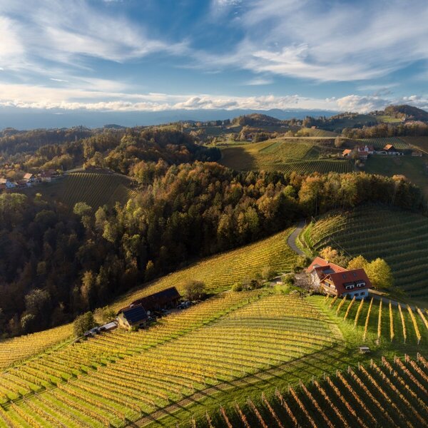 Herbst am Weingut Adam