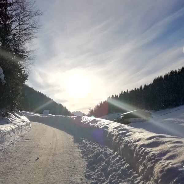 Verschneite Zufahrtsstraße zum Bauernhof in einer Winterlandschaft mit Wäldern.