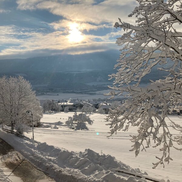 The winter view from the Farm House, showcasing snow-covered trees, a rural village, and mountains in the distance.