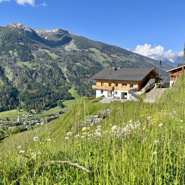 Der Bauernhof liegt auf einer Blumenwiese mit Blick auf die umliegenden Berge und das Tal.