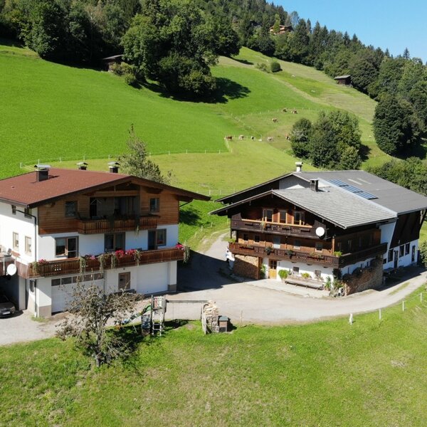 Two farmhouses with traditional wooden balconies, situated on a green hillside, one offering a terrace with an outdoor sauna.
