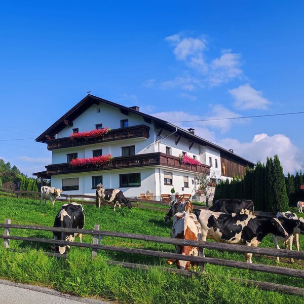 Vista esterna dello Stillerhof dal lato della strada