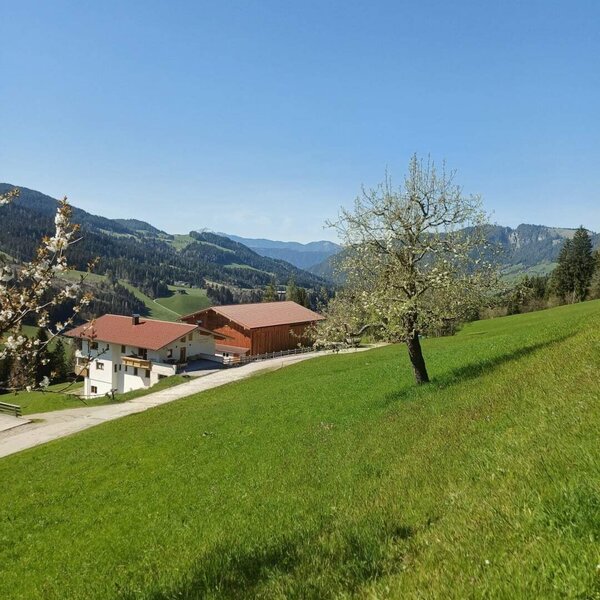 Außenansicht des Bauernhofs, umgeben von grünen Wiesen und mit Blick auf die Berge.