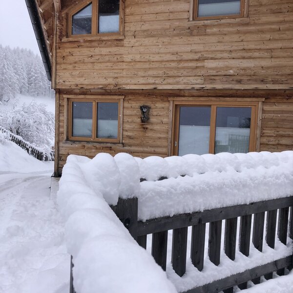 Winter (Franziska Jenewein)